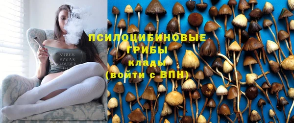 PSILOCYBIN Абаза