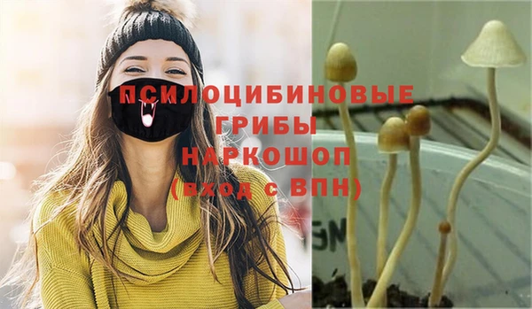 PSILOCYBIN Абаза