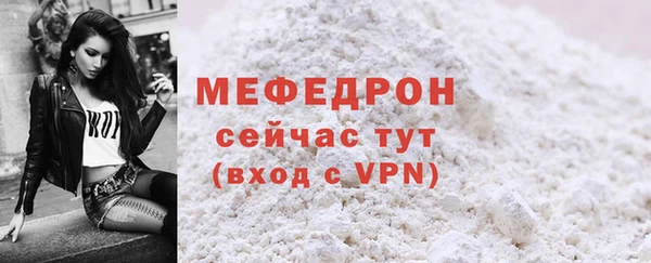 сатива Новодвинск