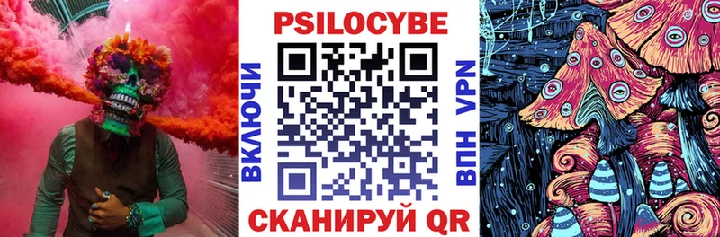 Псилоцибиновые грибы Cubensis  Котовск 